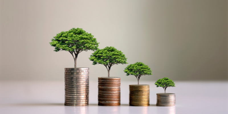 coins stacked in ascending order with trees on top of each stack. They are in front of a white background